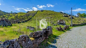 Terreno Rstico T0 - Bustelo, Amarante, Porto