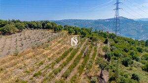 Terreno R�stico - Poiares, Peso da R�gua, Vila Real