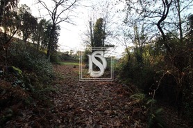 Terreno Rstico T0 - REBORDELO, Amarante, Porto - Miniatura: 1/3