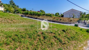 Terreno Rstico T0 - Amarante, Amarante, Porto - Miniatura: 8/25