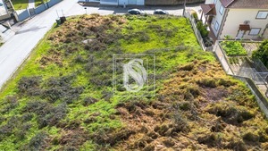 Terreno Rstico T0 - Amarante, Amarante, Porto - Miniatura: 16/25