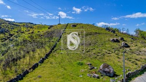 Terreno Rstico T0 - Bustelo, Amarante, Porto - Miniatura: 5/13