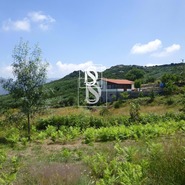 Moradia T1 - Bustelo, Amarante, Porto - Miniatura: 36/99