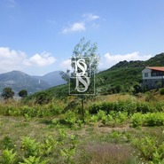 Moradia T1 - Bustelo, Amarante, Porto - Miniatura: 37/99