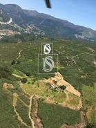 Moradia T1 - Bustelo, Amarante, Porto - Miniatura: 39/99