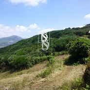 Moradia T1 - Bustelo, Amarante, Porto - Miniatura: 53/99