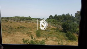 Moradia T1 - Bustelo, Amarante, Porto - Miniatura: 57/99