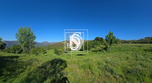 Moradia T1 - Bustelo, Amarante, Porto - Miniatura: 59/99