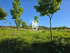 Moradia T1 - Bustelo, Amarante, Porto - Miniatura: 61/99