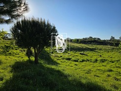 Moradia T1 - Bustelo, Amarante, Porto - Miniatura: 62/99