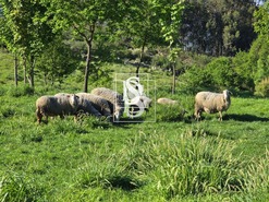 Moradia T1 - Bustelo, Amarante, Porto - Miniatura: 66/99