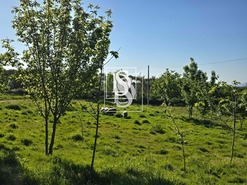 Moradia T1 - Bustelo, Amarante, Porto - Miniatura: 67/99