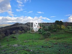 Moradia T1 - Bustelo, Amarante, Porto - Miniatura: 70/99