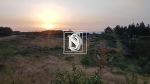 Moradia T1 - Bustelo, Amarante, Porto - Miniatura: 75/99