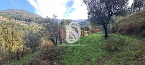 Terreno Rstico T0 - Candemil, Amarante, Porto - Miniatura: 8/17