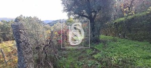 Terreno Rstico T0 - Candemil, Amarante, Porto - Miniatura: 12/17