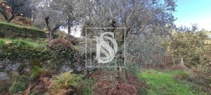 Terreno Rstico T0 - Candemil, Amarante, Porto - Miniatura: 13/17