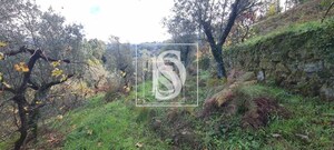 Terreno Rstico T0 - Candemil, Amarante, Porto - Miniatura: 15/17