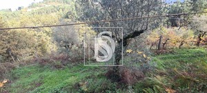 Terreno Rstico T0 - Candemil, Amarante, Porto - Miniatura: 16/17