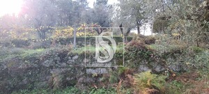 Terreno Rstico T0 - Candemil, Amarante, Porto - Miniatura: 17/17