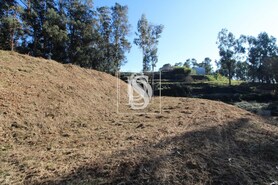 Terreno Rstico T0 - Teles, Amarante, Porto - Miniatura: 7/18