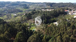 Terreno Rstico T0 - Teles, Amarante, Porto - Miniatura: 8/18