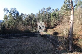 Terreno Rstico T0 - Teles, Amarante, Porto - Miniatura: 9/18