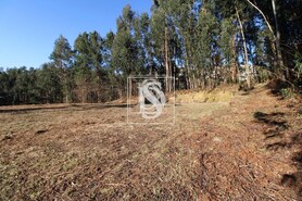 Terreno Rstico T0 - Teles, Amarante, Porto - Miniatura: 12/18