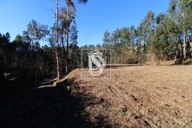 Terreno Rstico T0 - Teles, Amarante, Porto - Miniatura: 13/18