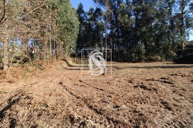 Terreno R�stico T0 - Tel�es, Amarante, Porto - Miniatura: 2/18
