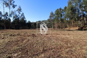 Terreno R�stico T0 - Tel�es, Amarante, Porto - Miniatura: 11/18