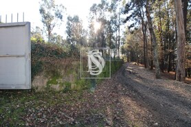 Terreno R�stico T0 - Tel�es, Amarante, Porto - Miniatura: 16/18