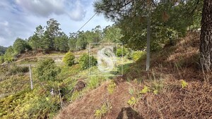 Terreno R�stico T0 - Padronelo, Amarante, Porto - Miniatura: 2/14