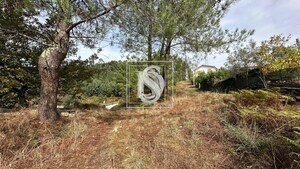 Terreno R�stico T0 - Padronelo, Amarante, Porto - Miniatura: 4/14