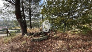 Terreno R�stico T0 - Padronelo, Amarante, Porto - Miniatura: 7/14