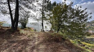 Terreno R�stico T0 - Padronelo, Amarante, Porto - Miniatura: 8/14