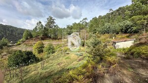 Terreno R�stico T0 - Padronelo, Amarante, Porto - Miniatura: 9/14