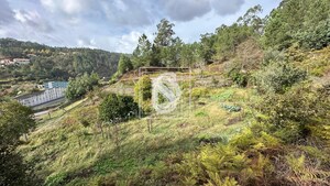 Terreno R�stico T0 - Padronelo, Amarante, Porto - Miniatura: 10/14