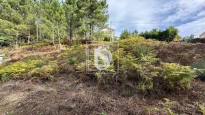 Terreno R�stico T0 - Padronelo, Amarante, Porto - Miniatura: 12/14