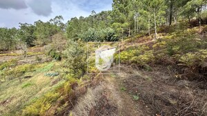 Terreno R�stico T0 - Padronelo, Amarante, Porto - Miniatura: 13/14