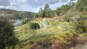 Terreno R�stico T0 - Padronelo, Amarante, Porto - Miniatura: 14/14
