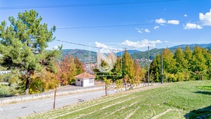 Terreno R�stico T0 - Padronelo, Amarante, Porto - Miniatura: 12/25