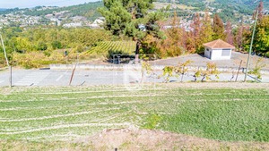 Terreno R�stico T0 - Padronelo, Amarante, Porto - Miniatura: 13/25