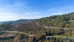 Terreno R�stico - Gondar, Amarante, Porto - Miniatura: 12/27