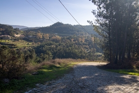 Terreno R�stico - Gondar, Amarante, Porto - Miniatura: 23/27