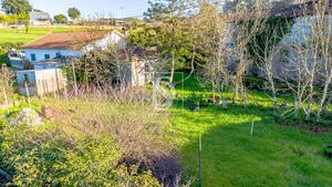 Moradia T3 - Amarante, Amarante, Porto - Miniatura: 46/55