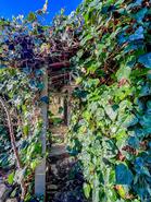 Moradia T3 - Amarante, Amarante, Porto - Miniatura: 49/55