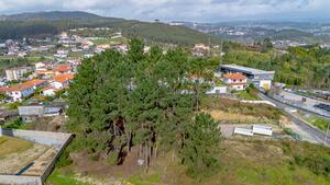 Terreno R�stico - Fregim, Amarante, Porto - Miniatura: 7/25