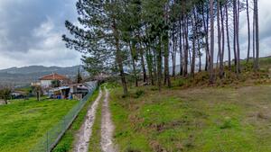 Terreno R�stico - Fregim, Amarante, Porto - Miniatura: 10/25