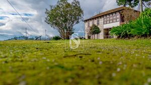 Moradia T3 - Frid�o, Amarante, Porto - Miniatura: 49/51